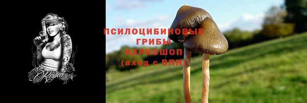 мет Богородицк