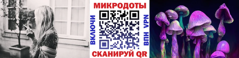 где продают   Плёс  Галлюциногенные грибы Magic Shrooms 